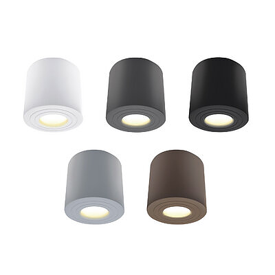 Ceiling light