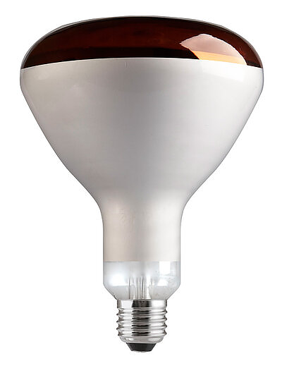 Incandescenza